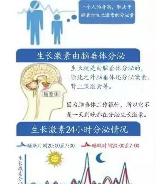 科学增高，如何增高最有效的方法图2